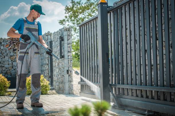 Best Patio and Deck Pressure Washing  in Las Lomas, TX