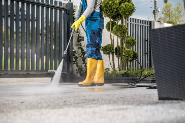 Best Driveway Pressure Washing  in Las Lomas, TX